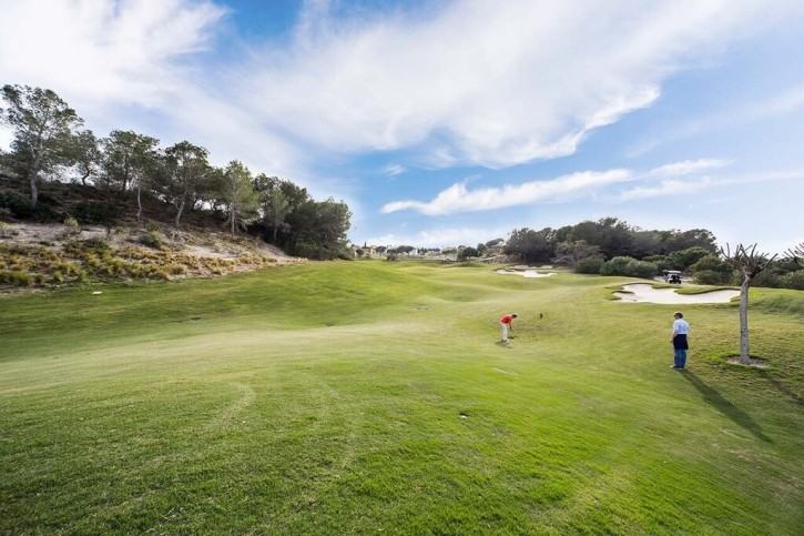 Dom Sprzedaż Costa Blanca Campoamor 14