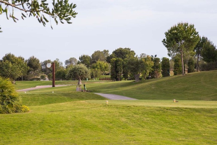 Dom Sprzedaż Costa Blanca Campoamor 15