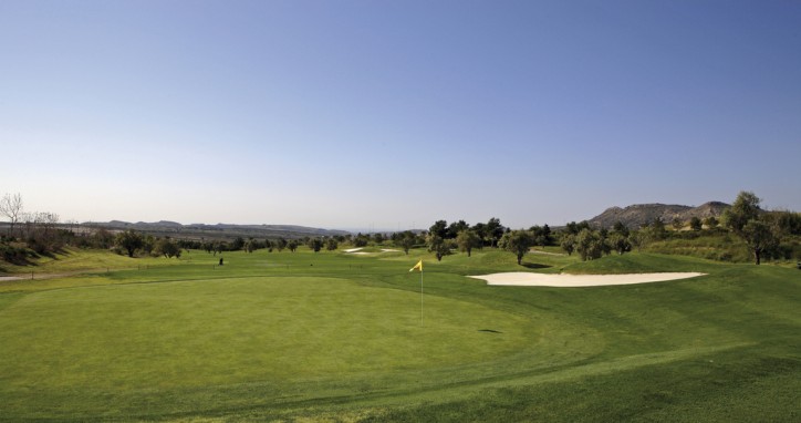 Mieszkanie Sprzedaż Costa Blanca Monforte del Cid 16