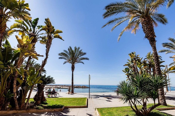 Mieszkanie Sprzedaż Costa Blanca Torrevieja 12