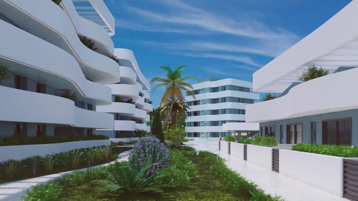 Mieszkanie Sprzedaż Costa Blanca Guardamar del Segura 12