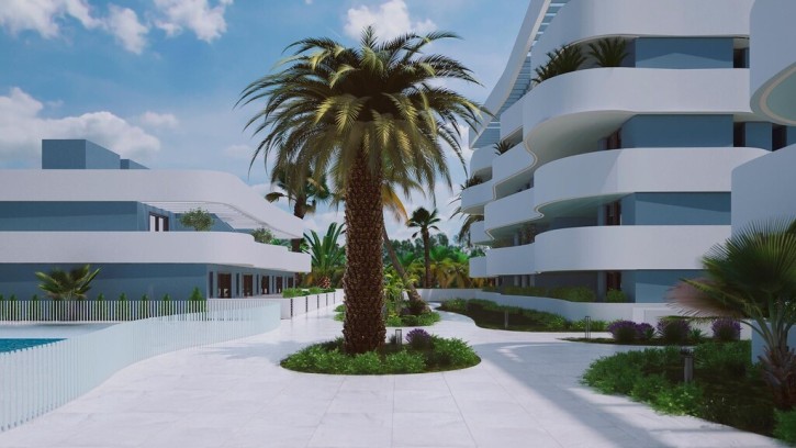 Mieszkanie Sprzedaż Costa Blanca Guardamar del Segura 13
