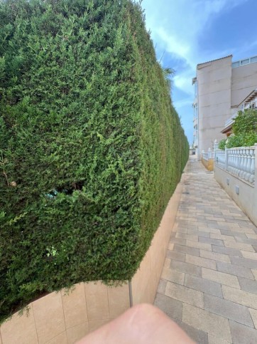 Mieszkanie Sprzedaż Costa Blanca Punta Prima 2