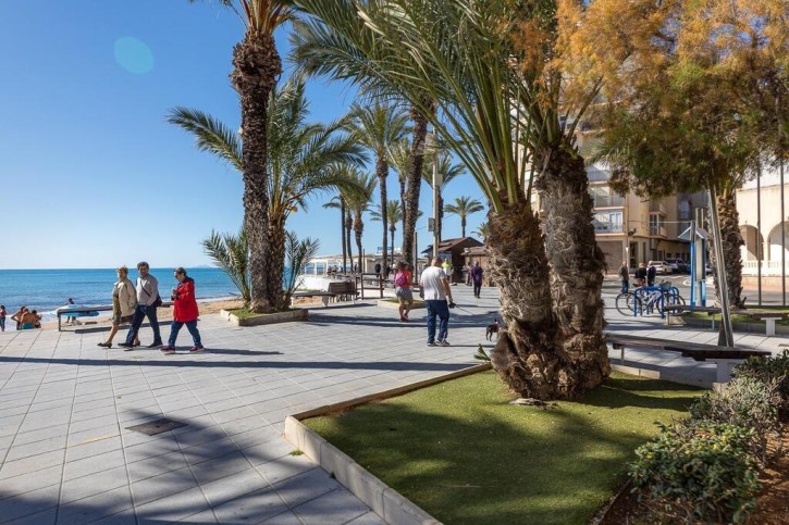 Mieszkanie Sprzedaż Costa Blanca Torrevieja 18