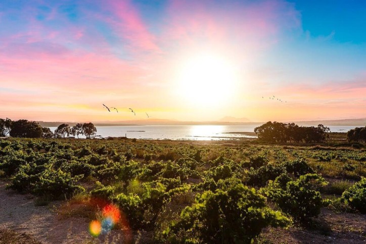 Mieszkanie Sprzedaż Costa Blanca La Mata 4