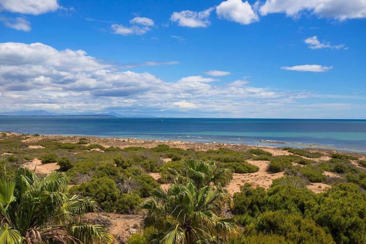 Mieszkanie Sprzedaż Costa Blanca La Mata 26