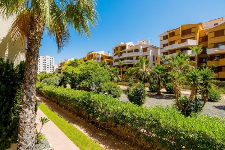 Mieszkanie Sprzedaż Costa Blanca Punta Prima 5