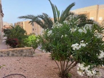 Mieszkanie Sprzedaż Costa Blanca Torrevieja