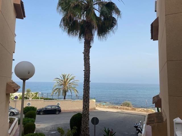 Mieszkanie Sprzedaż Costa Blanca Torrevieja 19